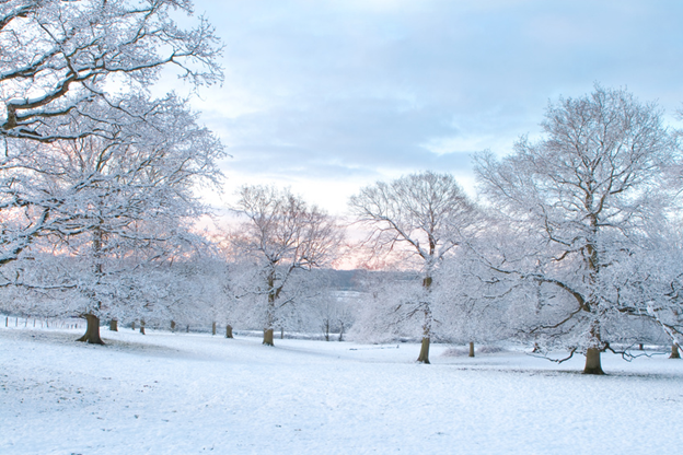 Winter-landscape